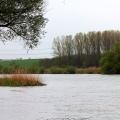 mein Fischwasser , die Donau bei Eining