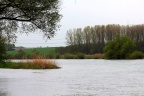 mein Fischwasser , die Donau bei Eining