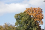 Herbst