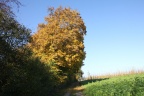 Herbst