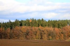 bunter Herbst