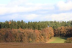 bunter Herbst