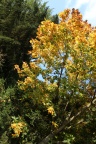 der Herbst von seiner schönen Seite