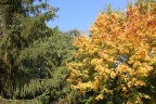 der Herbst von seiner schönen Seite