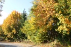 der Herbst von seiner schönen Seite