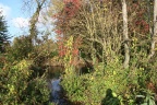 der Herbst von seiner schönen Seite