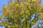 der Herbst von seiner schönen Seite