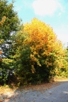 der Herbst von seiner schönen Seite