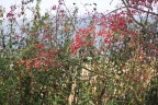 der Herbst von seiner schönen Seite