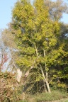 der Herbst von seiner schönen Seite