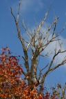der Herbst von seiner schönen Seite
