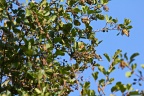 der Herbst von seiner schönen Seite