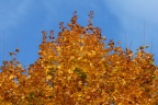 der Herbst von seiner schönen Seite