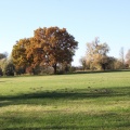 bunter Herbst