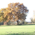 bunter Herbst