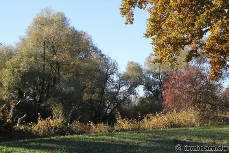 IMG_1416.JPG