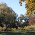 bunter Herbst
