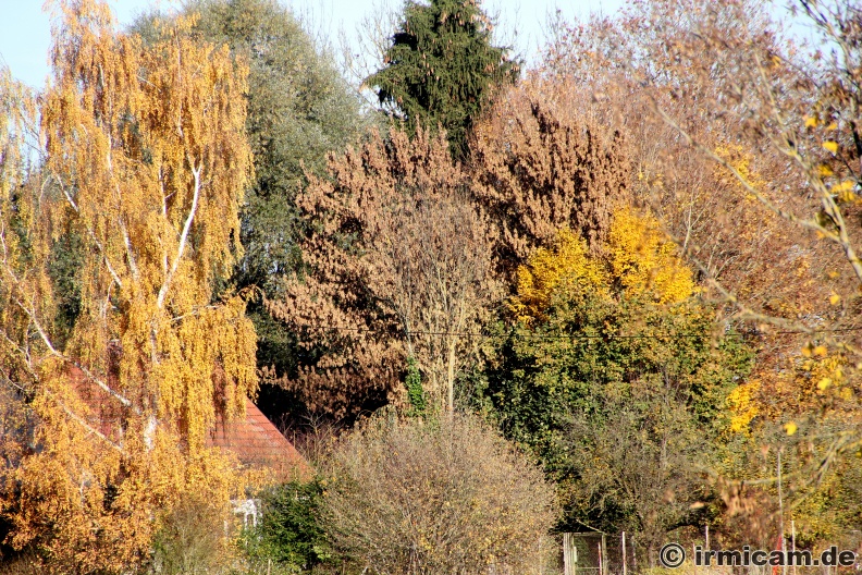 IMG_1439.JPG