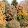 bunter Herbst