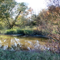 bunter Herbst