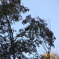 bunter Herbst