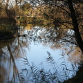 bunter Herbst