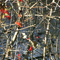 bunter Herbst