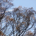 bunter Herbst