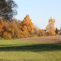 bunter Herbst