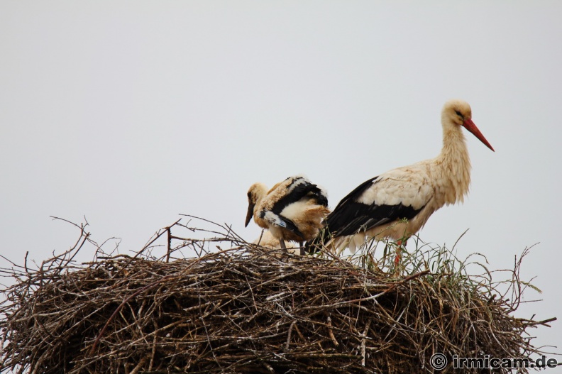 IMG_4160_Bildgröße ändern.JPG