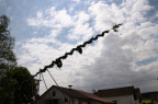 Maibaum10