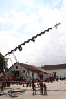 Maibaum11