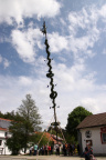 Maibaum13