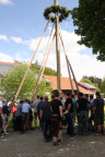 Maibaum16