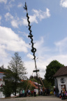 Maibaum20