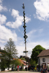 Maibaum21