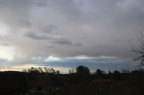 IMG 7750