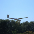 IMG 8767.JPG6